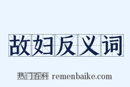 故妇反义词是什么意思的图片